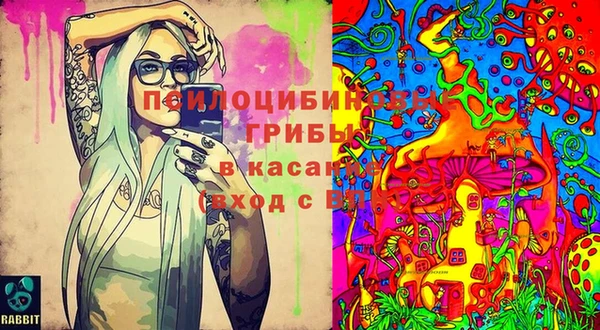 2c-b Балабаново