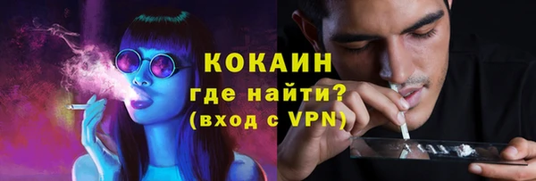 соль ск Белокуриха