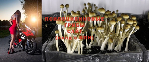 2c-b Балабаново