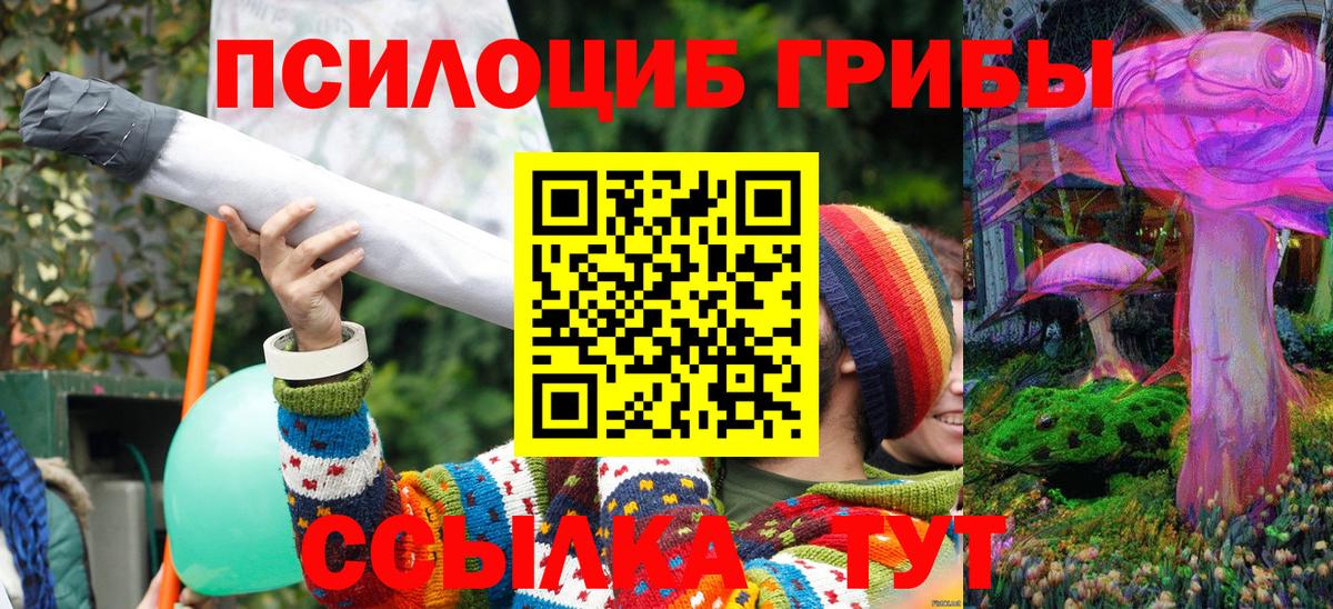 Галлюциногенные грибы прущие грибы  Вход с VPN  Псилоцибиновые грибы прущие грибы  Кунгур 
