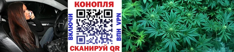 закладка  Кунгур  Бошки марихуана Amnesia 